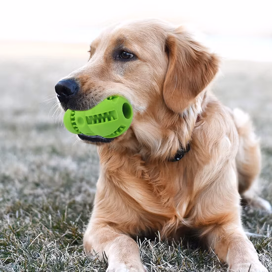 Jouets pour animaux de compagnie, nettoyage des dents, Puzzle molaire, résistant aux morsures, fournitures d'entraînement pour chiens