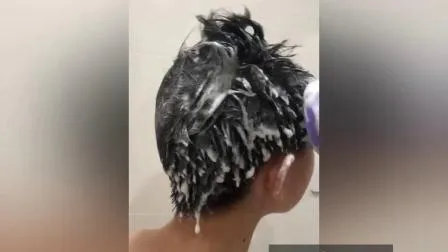 Brosse à poils d'animaux avec shampoing Sili